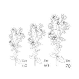 Hypericum | Flowers Producers